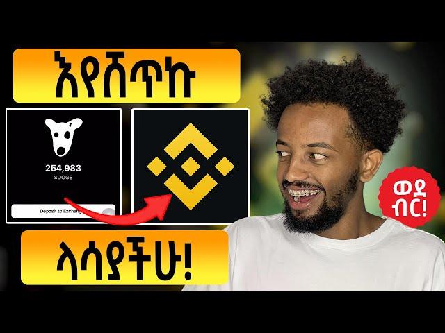 HOW TO SELL DOGS ON BINANCE | HAMSTER KOMBAT