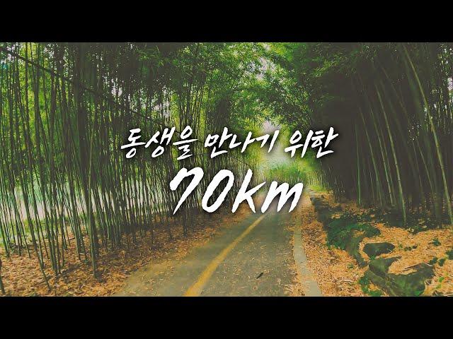 [4K] 동생 만나러 70km를 달려갔습니다 가는 길에 사고 목격까지.. (ft. 헬멧이 이렇게 중요합니다!) #안양천 #자전거라이딩 #자전거여행 #riding #roadbik