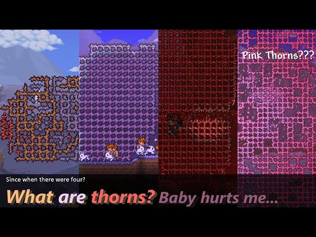 The Four Thorns in Terraria ─ Unplaceable, Unacknowledged, Unlogical...