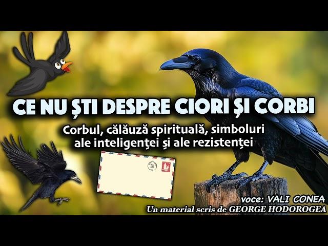 Ce nu ști despre ciori și corbi*Corbul, călăuză spirituală, simbol al inteligenței și al rezistenței