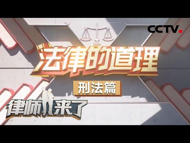 《律师来了》 法律的道理 刑法篇 20200516 | CCTV社会与法