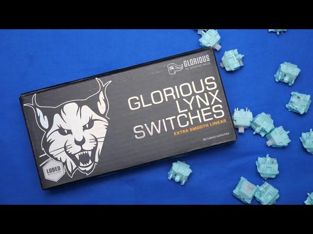 Glorious Lynx Switch Review - Perfect for Newcomers and Enthusiasts!