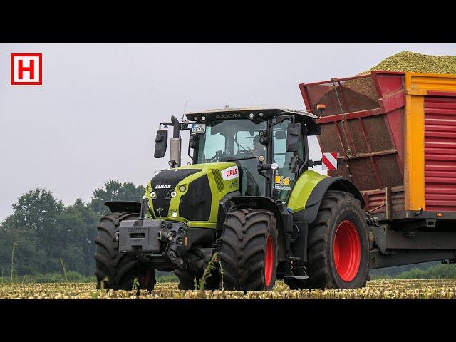 Maishäckseln mit Krone Big X 780, Fendt und Claas | Moormann-Schmitz | Mais hakselen