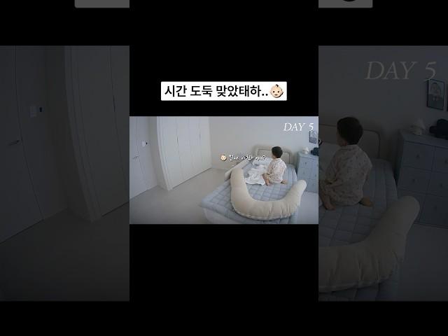 시간 도둑 맞았태하..