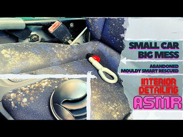 How I Cleaned Mold In a Disgusting Abandoned Smart - Interior Car Cleaning Disaster Detail | ASMR