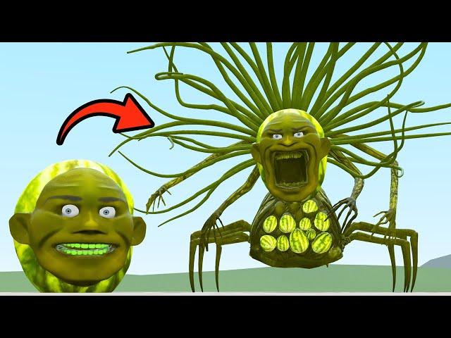 I MADE NEW LIN GANG MELON ZOOCHOSIS BOSS In Garry's Mod