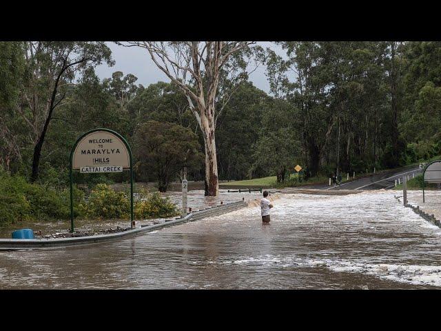 SES responds to 650 flood rescues as ‘potentially life-threatening’ event continues