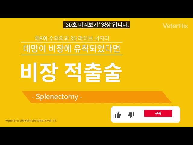 [베터플릭스] 비장 적출술(Splenectomy)_이론강의