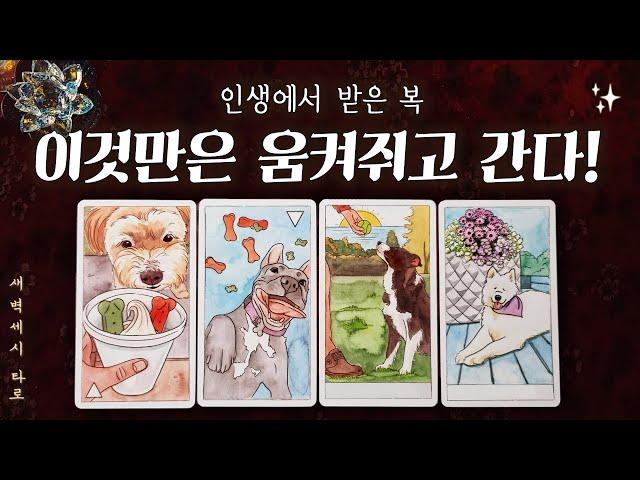 [타로] 당신의 인생에서 받은 복, 살면서 이것만은 움켜쥐고 가게 됩니다.