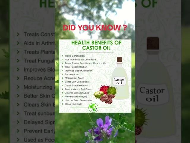 Castor Oil Benefits #healthandwellness #castoroil #healthinfo #foryou