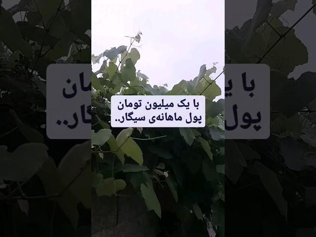 این خوراکی ها رو با پول یک ماه سیگار میشه خرید