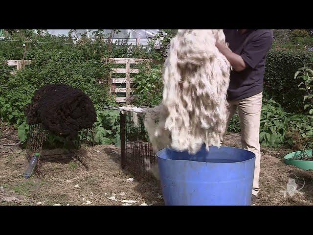 Preparing fleece for spinning: 1 washing