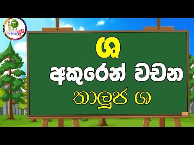 ශ අකුරෙන් වචන / තාලුජ ශ / වචන ගොඩාක් / 1-5 දරුවන්ට / primary අපි