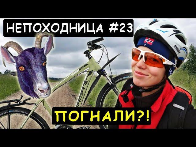 ПОЕХАЛА НА ДАЧУ И ВОТ ЧТО СЛУЧИЛОСЬ...НЕПОХОДНИЦА.