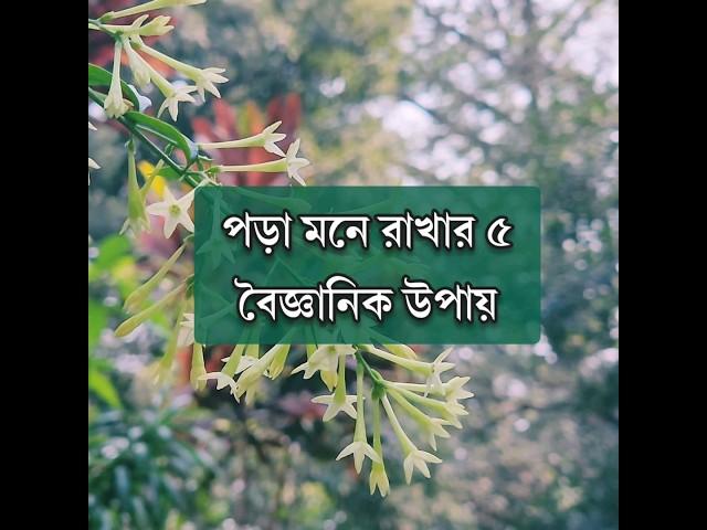 পড়া মনে রাখার ৫ বৈজ্ঞানিক উপায়