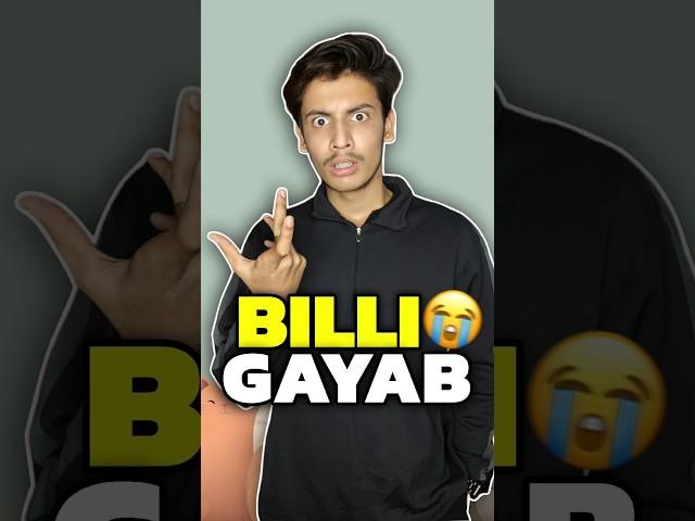 Meri Billi Gayab Ho Gayi  | Mini Vlog #shorts #minivlog #ashortaday #vlog #tranding #cats #cat