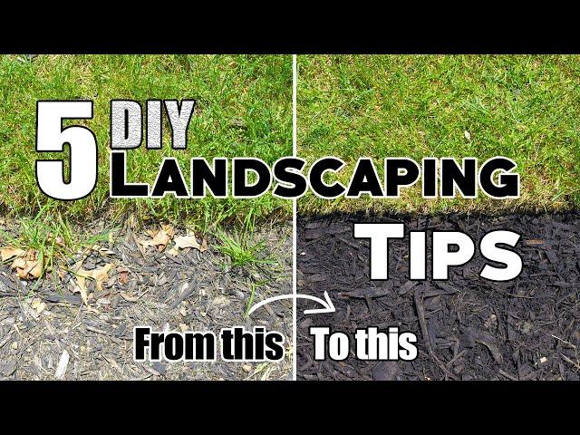 5 Cheap & Easy DIY Landscaping Tips & Ideas (Plus Bonus Tips!) 