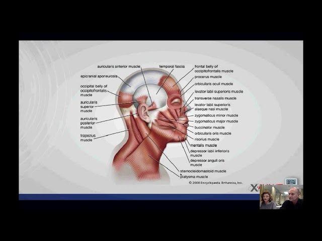 Treating headaches with the Stimpod NMS460 - Webinar - 26 September 2017