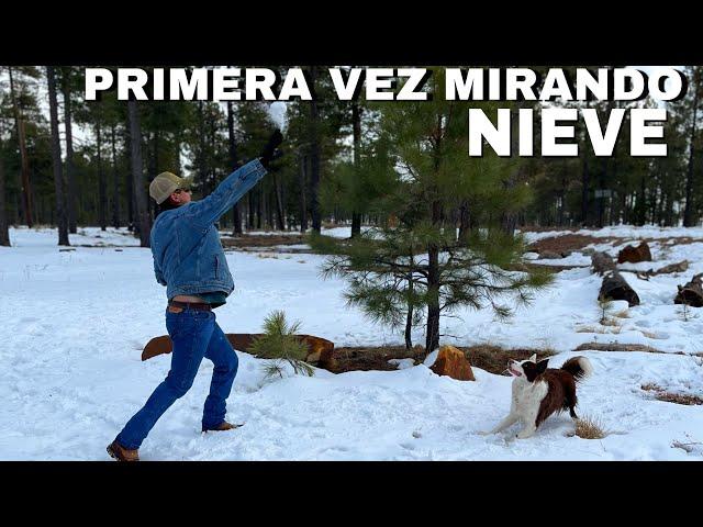 Buscando El Lago Congelado PRIMERA VEZ MIRANDO NIEVE