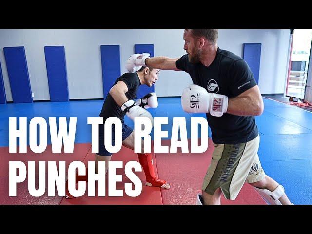 3 Beginner Tips for Reading Punches & Improving Head Movement