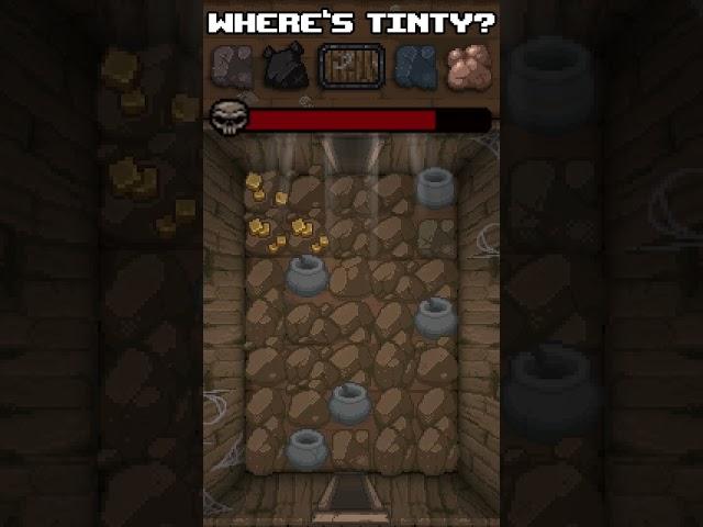 Where's Tinty? - Cellar (Tinted Rock Training)