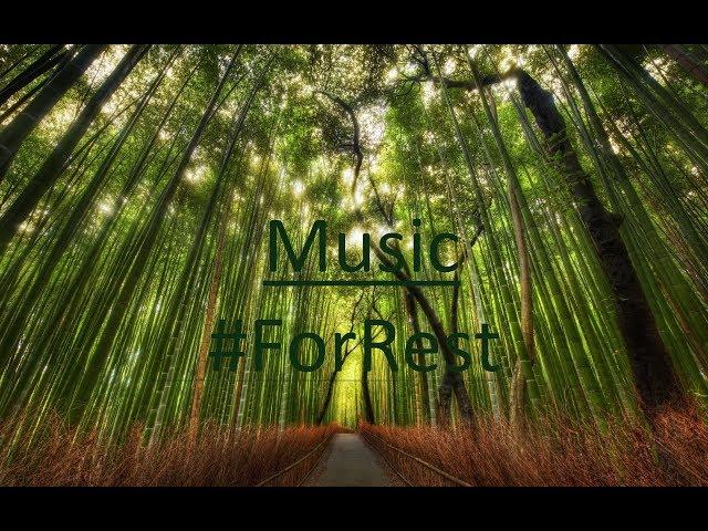 Very differrent music ForRest (Funk, Deep, House, Techno) May'18