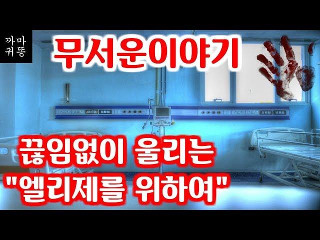 끊임없이 울리는 엘리제를 위하여  [무서운이야기/공포이야기/괴담]