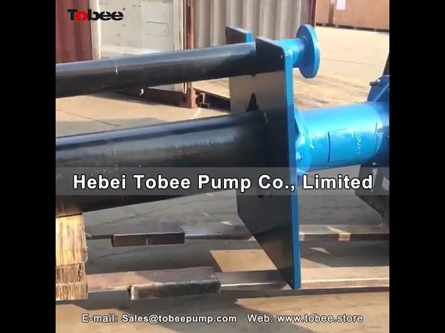 Tobee 100RV-SPRL High Duty Vertical Submerged Slurry Pumps