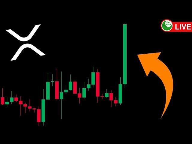 $700,000 XRP POSITION !!!! [LIVE TRADING]