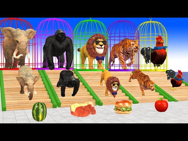 Paint Animals Elephant,Lion,Gorilla,Tiger,Chicken Fountain Crossing Transformation Animals Cartoon 2