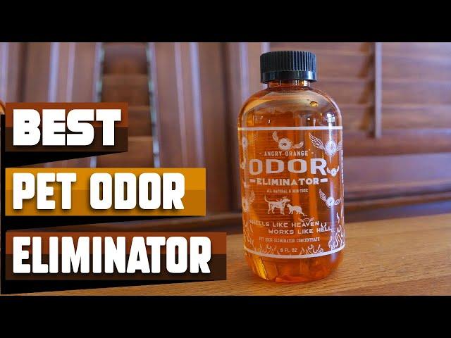 Best Pet Odor Eliminator In 2024 - Top 10 Pet Odor Eliminators Review