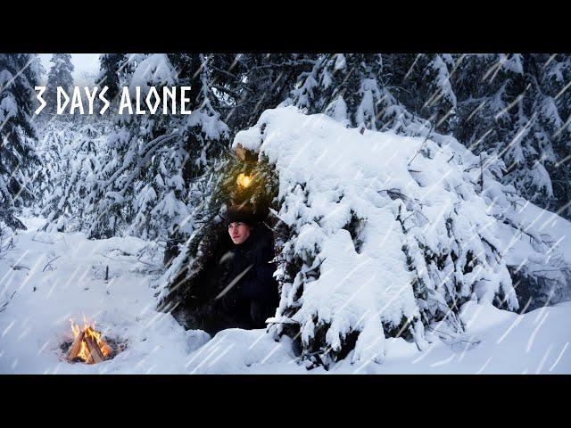 Extreme Winter Survival in HEAVY SNOW 3 Day Camping - Building Shelter