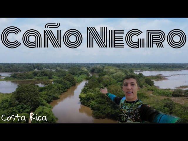 El humedal mas importante de Costa Rica CAÑO NEGRO