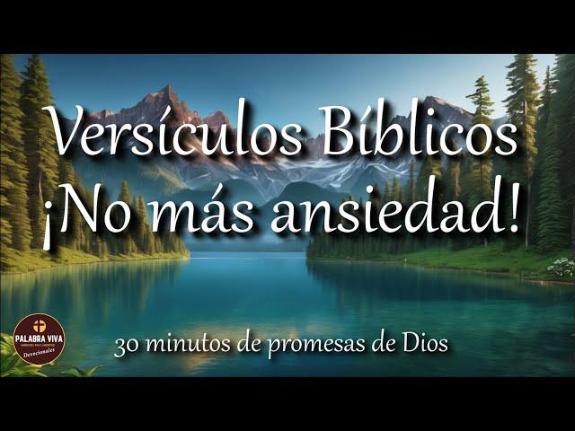 Versículos Bíblicos contra la ansiedad | recibe paz con la Palabra de Dios | Biblia hablada