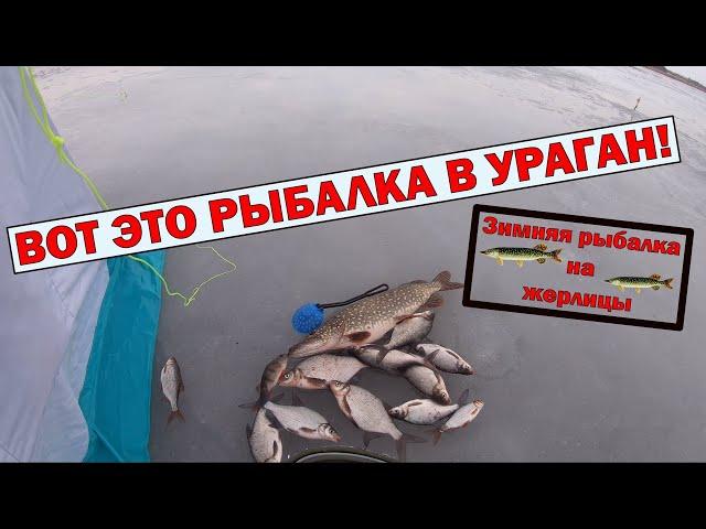 ВОТ ЭТО РЫБАЛКА В УРАГАН! Зимняя рыбалка 2022. Зимняя рыбалка на жерлицы.