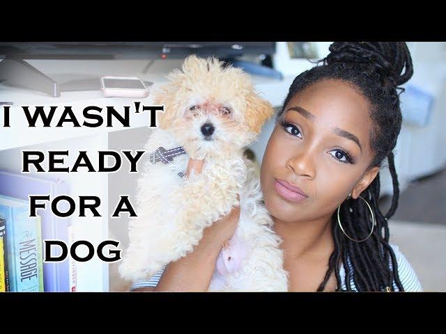 I Wasn't Ready For a Dog | Tips for New Puppy Owners + New Puppy Must Haves | Entrepreneur Life