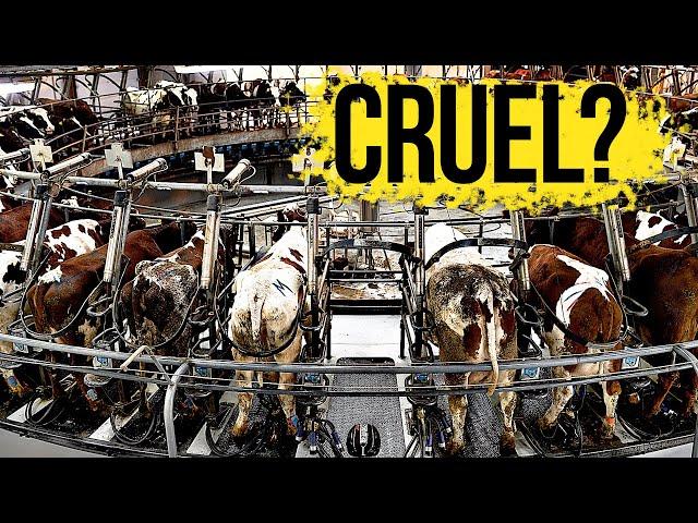 The Cruel Reality of Dairy Farms | Is Drinking Cow Milk Ethical? | Milk Production | ENDEVR Explains