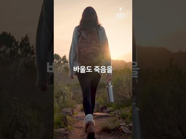 죽음을 묵상하라                                         #바이블샤워 #명언 #영생 #영원한복음 #기도 #믿음 #shorts