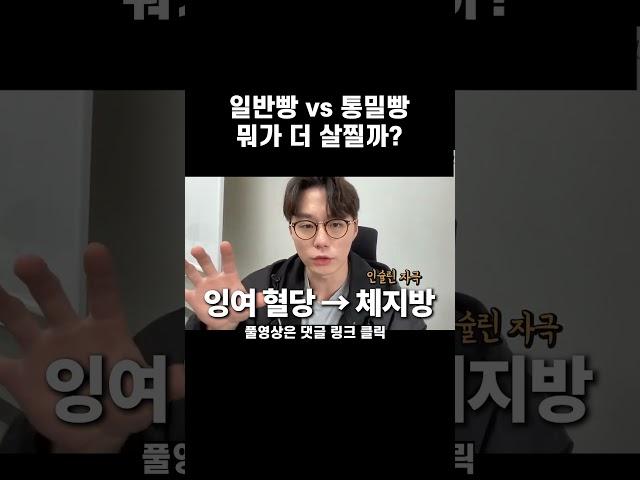 일반 빵 vs 통밀 빵 중 다이어트에 도움이 되는 빵은?