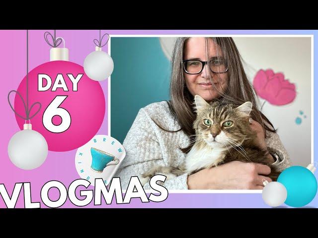 tea advents, kitty love, typewriter love - day 6 vlogmas