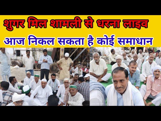 Shamli धरना| Manjit Singh UP-19 is live!आज निकल सकता है कोई समाधान