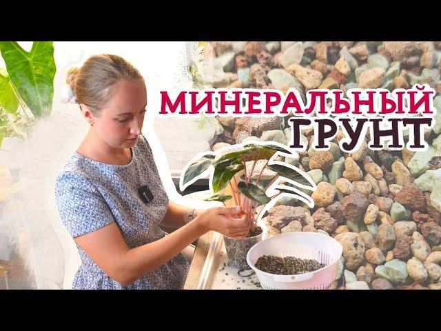 Минеральный грунт | Для каких растений подойдёт, посадка и пересадка, уход, борьба с вредителями