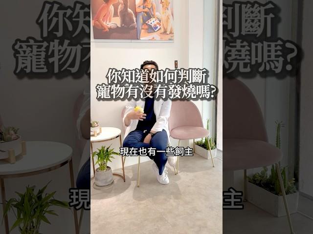 【歐歐妮動物醫院】你知道怎麼判斷寵物有沒有發燒嗎？｜黃柏錩獸醫師