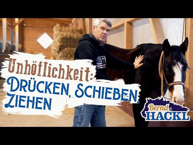 Warum das Pferd schiebt und drückt | Bernd Hackl erklärt! 