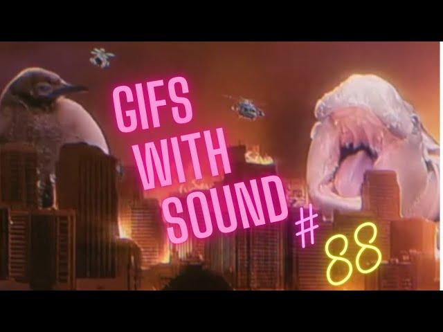  Gifs with Sound & COUB mix! #88