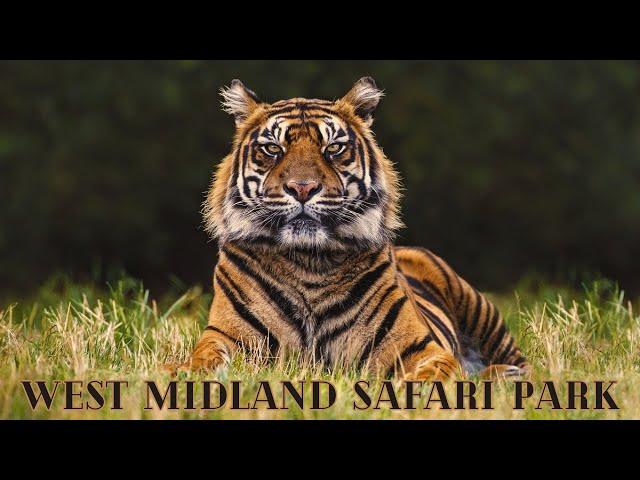 The Ultimate Guide to West Midlands Safari Park 2025