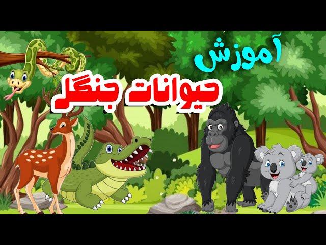 آموزش حیوانات جنگل به فارسی برای کودکان | اموزش حیوانات وحشی