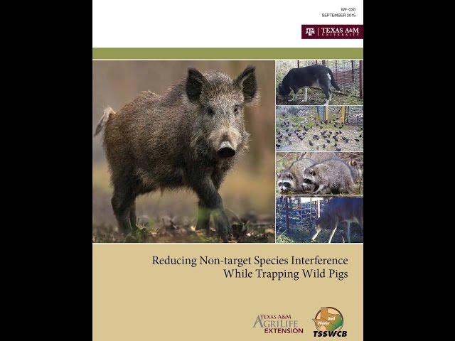 Reducing Non-Target Species Interference While Trapping Wild Pigs