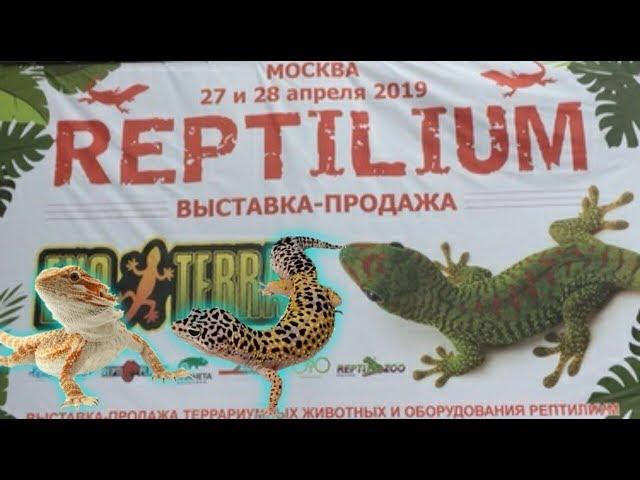 REPTILIUM 2019 МОСКВА ВЫСТАВКА-ПРОДАЖА / КАК ЭТО БЫЛО???/ЯЩЕРИЦЫ /ЗМЕИ /МУРАВЬИНЫЕ ФЕРМЫ /НАСЕКОМЫЕ