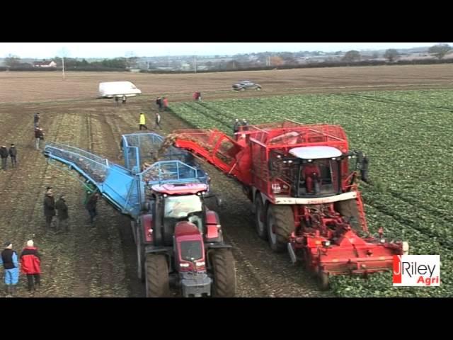 Edenhall E25 beet chaser